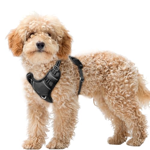 Dog Harness for Small Sized Dog No Pull Dog Vest ID Tag Pocket (Black / X-Small)
