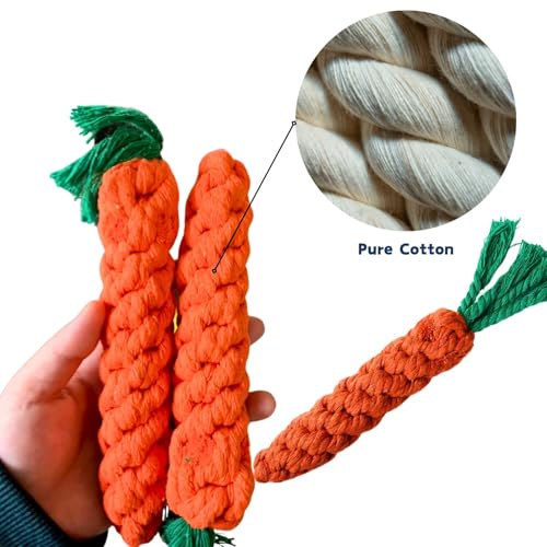 10 PCS Carrot Dog Rope Toys for Dogs (10-Pack)