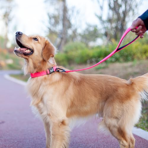 Pets 24 Inches Heavy Duty Short Leash with Comfortable Handle and Lightweight Aviation Aluminium Clip Lead (Hot Pink / 24 Inches)
