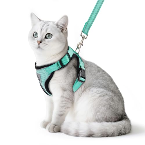 Cat Harness and Leash Set Escape Proof Reflective Cat Walking Harness Adjustable Soft Breathable Mesh Vest for Small Pets (M (NECK 11"-13.7", CHEST 16"-20") / Aquamarine)