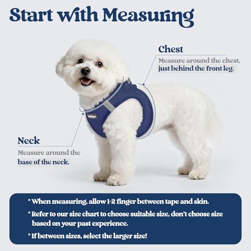 Dog Harness Small Sized and Leash Set (Navy Blue / Xs (chest: 13.3 - 15.5"))