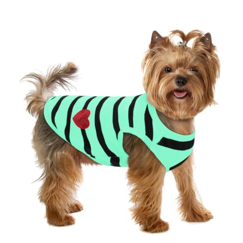 Dog Shirts for Small Dogs (Turquoise-Vest / Small)