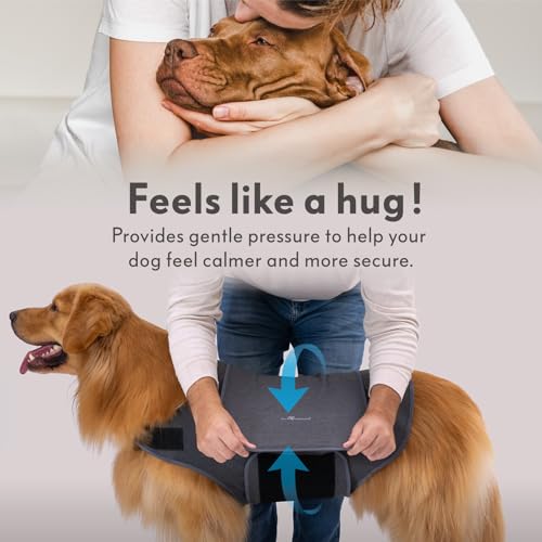 Dog Anxiety Vest (Large)