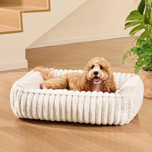 Medium Dog Bed Calming Cat Bed for Indoor Cats 24’’x20’’ Ivory (Ivory / 24"L x 20"W x 6"Th)