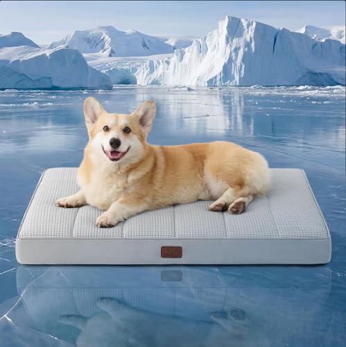 Cooling Dog Bed for Crate (35"L x 22"W x 3"Th / Cooling Grey)