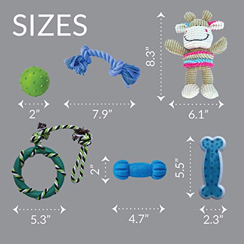 Puppy Chew Toys for Teething