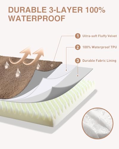 Orthopedic Dog Bed for Small Dogs with Waterproof Lining (Brown / 23.0"L x 17.0"W x 3.0"Th)