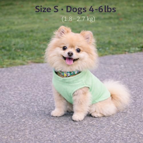 Dog Fleece Sweater with Leash Ring (S (4-6lbs) / Mint Green)