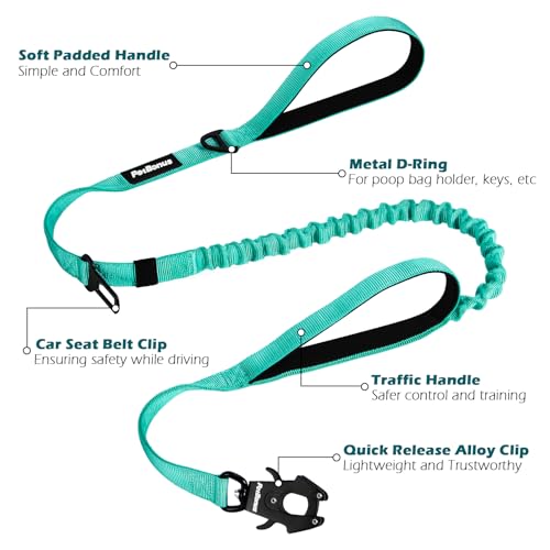 Heavy Duty Tactical Dog Leash (Turquoise)