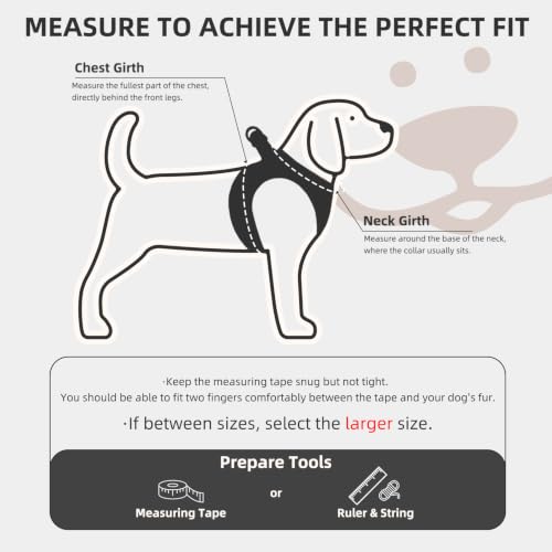 Dog Harness Collar and Leash Set No Pull for Small Medium Sized (Black / XXS (CHEST 11.5"-13"))