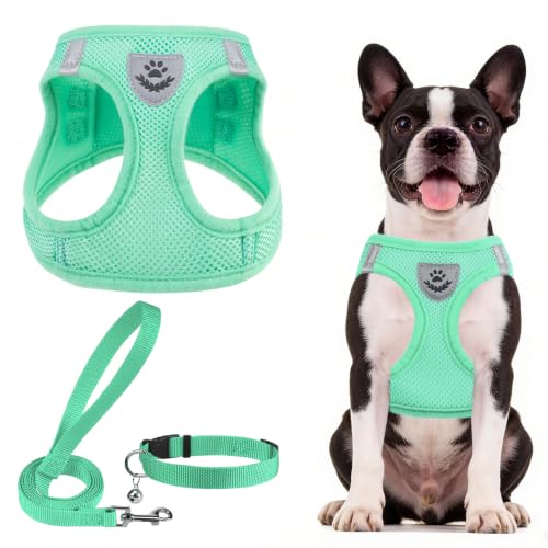 Dog Harness Collar and Leash Set No Pull for Small Medium Sized (Solid Green / L (CHEST 18"-20"))