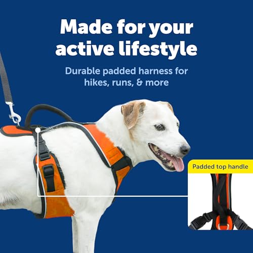 EasySport Dog Harness (Small / Orange)
