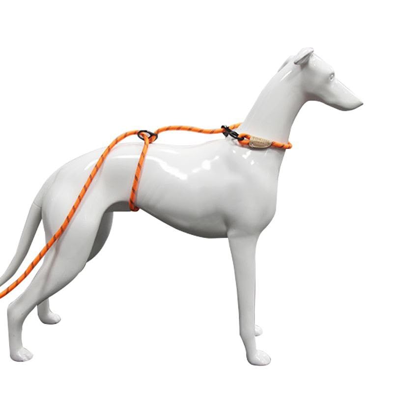 30ft Check Cord to Train Dog (30 Ft / ORANGE)