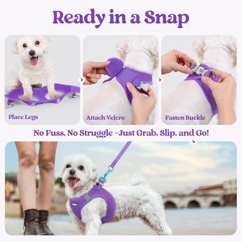 Dog Harness Medium Sized and Leash Set (Purple / L (chest: 18.2 - 20.5"))