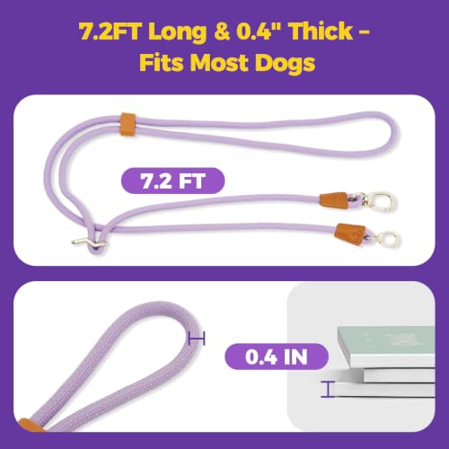 Hands Free Double Dog Leash 2 (Purple)