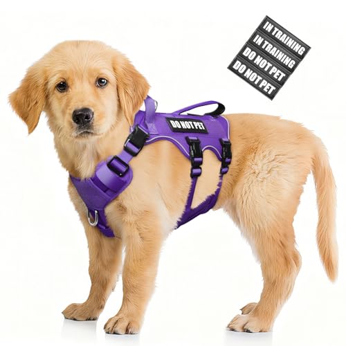Escape Proof Dog Harness with Double Handle+4 Removable Patches (Small / Purple)