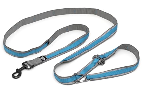 Quantum 6 in 1 Dog Leash (Blue)