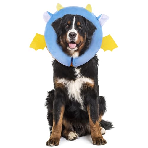 Inflatable Recovery Dog Collar (Vampire / Medium (Neck:8''-10''))