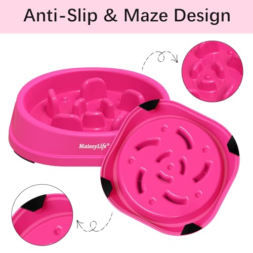 1 Pack Slow Feeder Dog Bowls (J-Purple / Small)