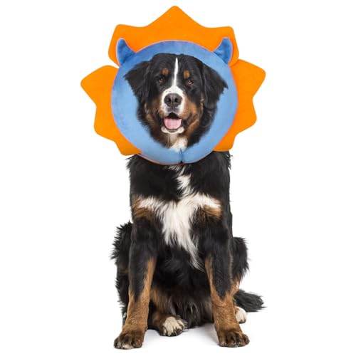 Inflatable Recovery Dog Collar (Blue Demon / Large (Neck:14''-17''))