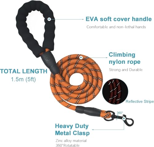 No Pull Dog Harness for Large Dog with Leash (Orange / XL)