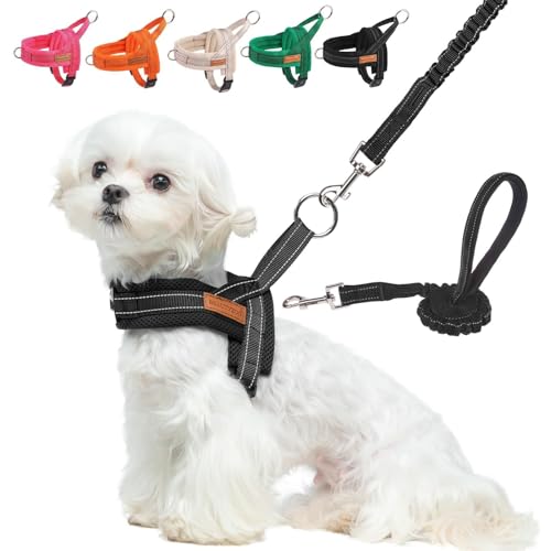 Small Dog Harness and Leash Set (Black / XS: Chest 15"-18")