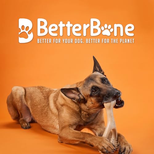 Hard Density Ideal for Strong to Aggressive Chewers (Small)