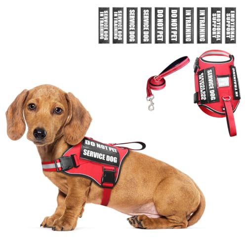 Small Dog Harness & Leash Set (X-Small / Red)