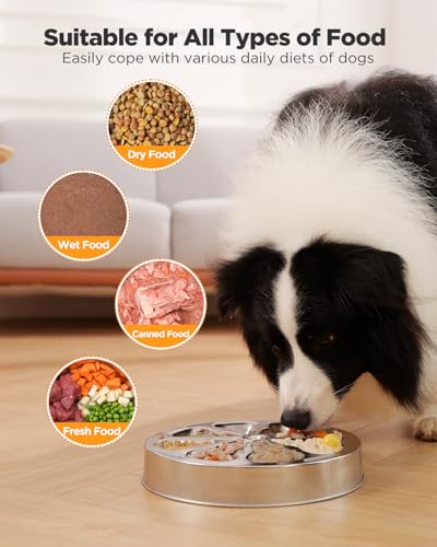 2 Pack Slow Feeder Dog Bowls (Large-2Pack)