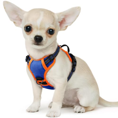Dog Harness for Small Dogs (X-Small / Blue & Orange)