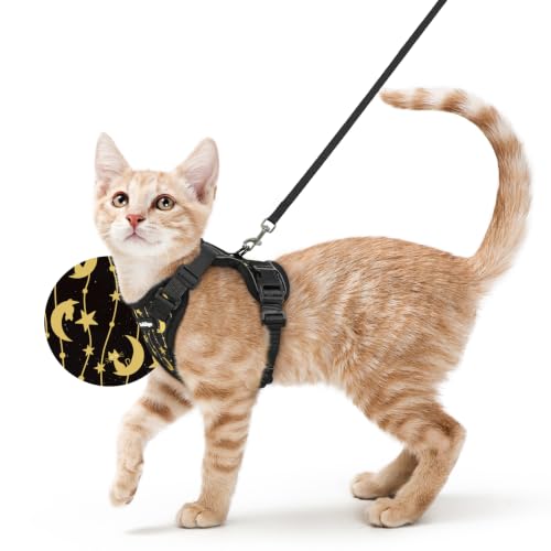 Cat Harness and Leash Set (Xs / Lunar Prowl)