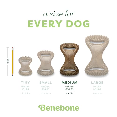 Dental Dog Chew Toy for Aggressive Chewers (REAL Chicken / Medium)