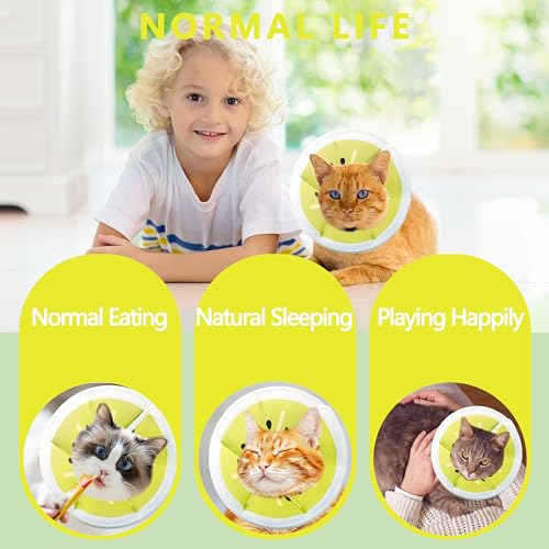 Soft Adjustable Cat Cone Collar (Gold Kiwi / Medium)