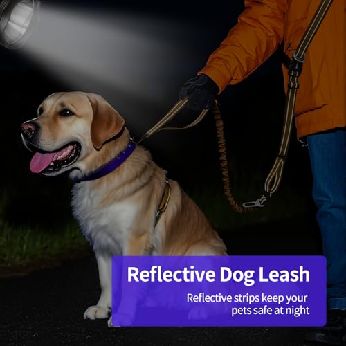 Hands Free Dog Leash by Kazazoo (BROWN Bungee / M)