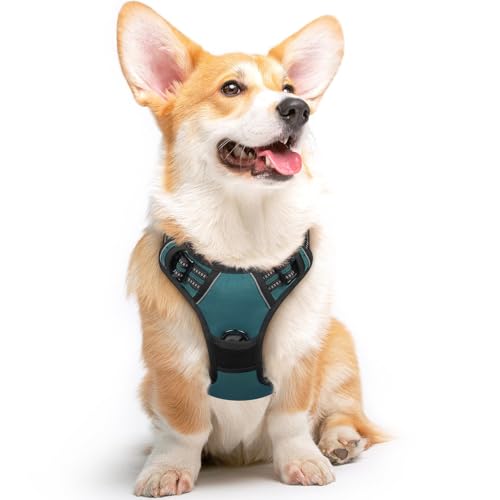 Dog Harness for Medium Sized Dogs (Medium / Dark Green)