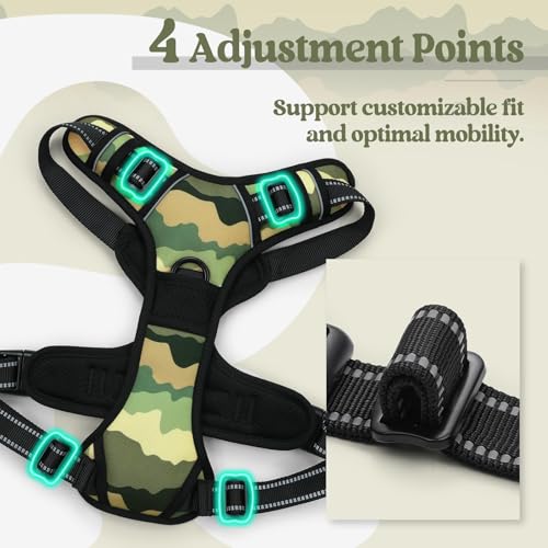 Dog Harness No Pull for Small Dogs with 2 Leash Clips (Small / Green Mountain)