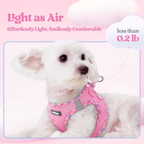 Dog Harness Medium Sized and Leash Set (Pink & Plaid Trim / M (chest: 16 - 18.5"))