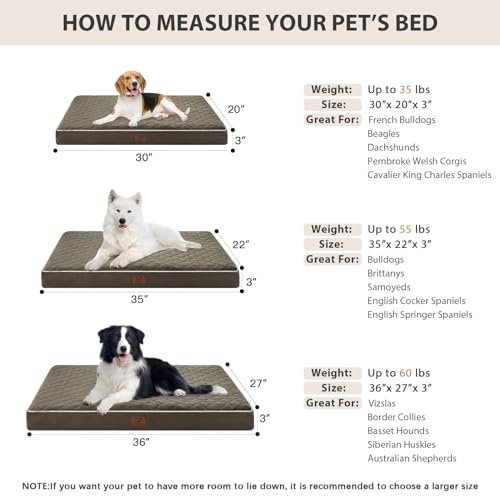 Orthopedic Waterproof Dog Bed Medium for Comfy Sleeping (Dark Green / 30"L x 20"W x 3"Th)