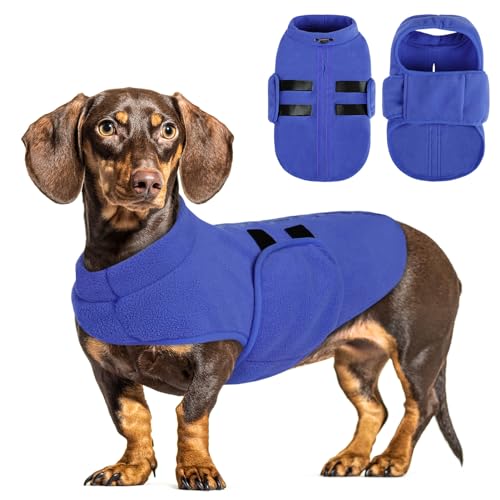 Dog Sweaters for Medium Dogs (Blue / Medium)