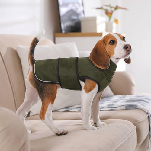 Dog Anxiety Vest with Hoodie (XXX-Large / Army Green)