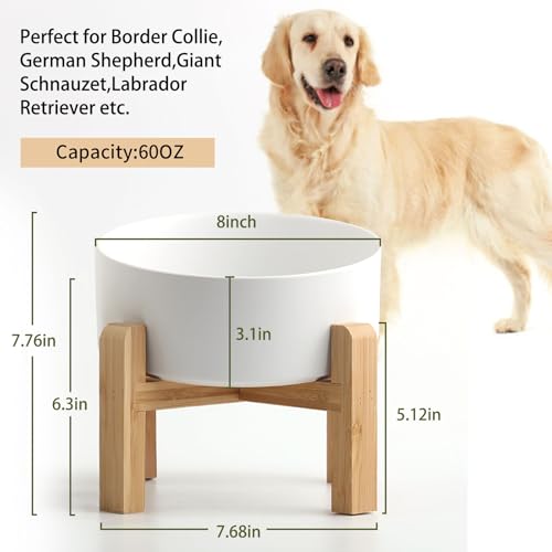 White Elevated (White / 7.6 CUPS - Medium Large Dog Bowls)