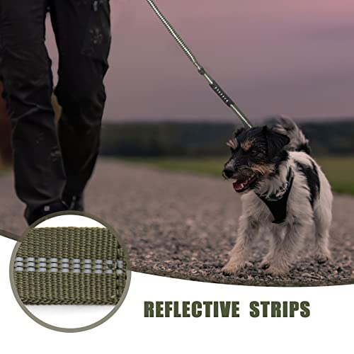 Tactical Shock Absorbing Bungee Dog Leash Heavy Duty (Ranger Green / Aviation aluminum)
