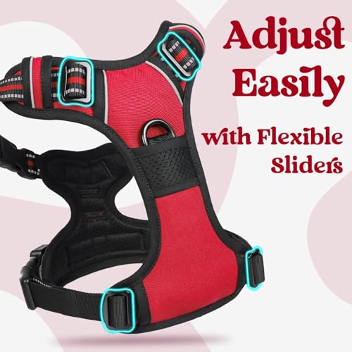 Dog Harness Medium Sized (Medium / Red)