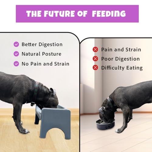 The Fluff Trough Elevated Slow Feeder Dog Bowl (Black)