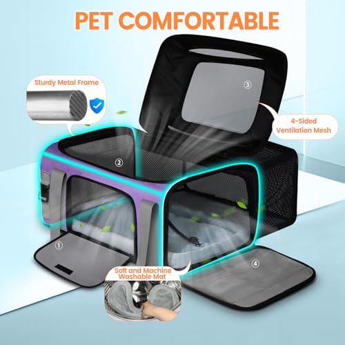 Top and Side Expandable Pet Carrier Airline Approved (Purple with Side Expandable)