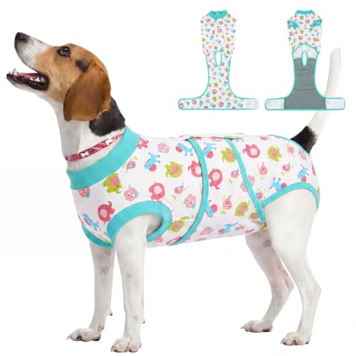 Dog Recovery Suit (Mint Green / Medium)