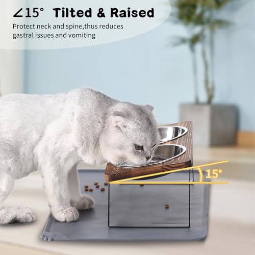 Upgraded Elevated Cat Bowls with Food Mat