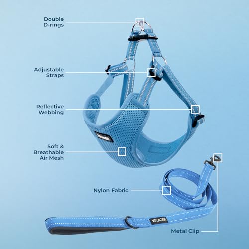 Voyager Adjustable Step (Harness Leash Set (Baby Blue) / M)