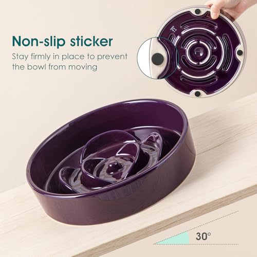 Slow Feeder Dog Bowl (M - 1.5 Cups / Dark Purple)