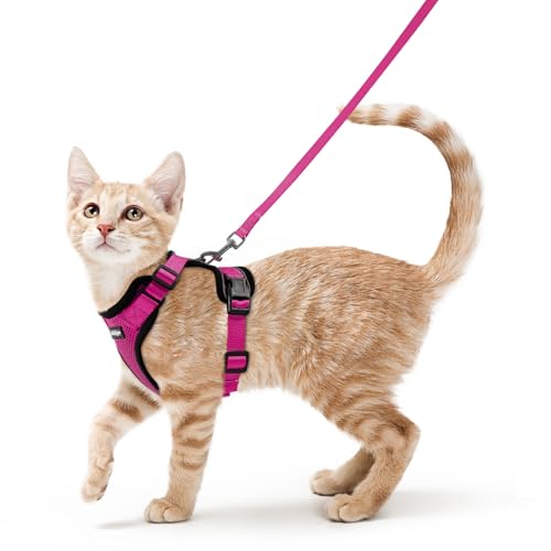 Cat Harness and Leash Set (S / Rose Red)